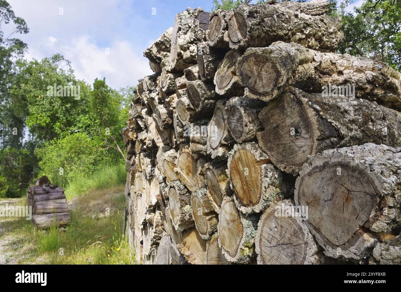 Holzstapel Korkeiche, Holzstapel aus Korkeiche 06 Stockfoto
