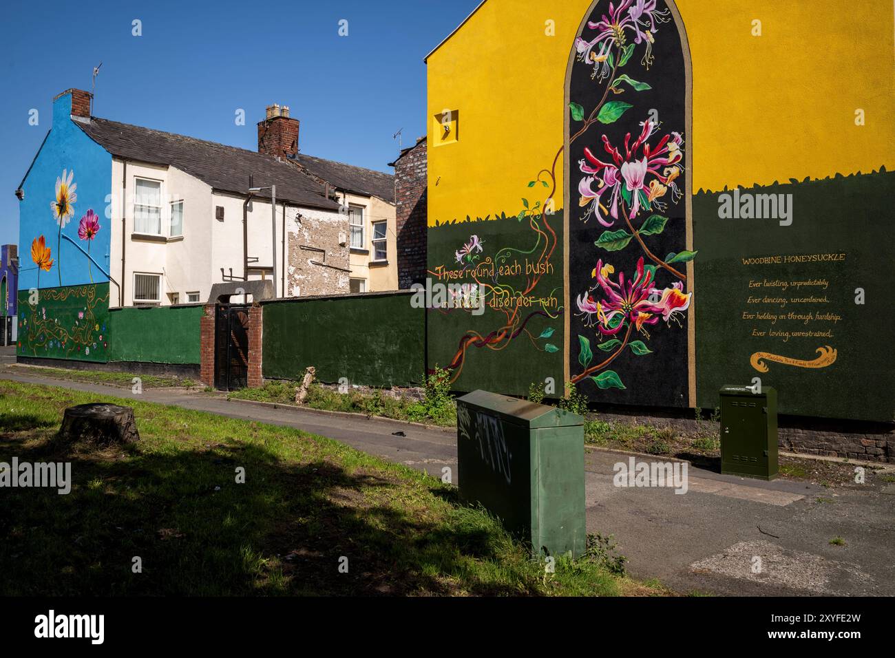 Kirkdale, Liverpool, UK, Flower Street Project 29. August 2024. Das Flower Streets Project ist eine Feier von Kirkdale und seinen Bewohnern und hat bereits neun großformatige Wandmalereien am Giebelende von Häusern hervorgebracht – jedes repräsentiert die gleichnamigen Blumen jeder Straße. Die Kunstwerke sind eine Feier der Gemeinschaft und zielen darauf ab, das Gebiet zu verjüngen und das Thema antisoziales Verhalten zu behandeln. Und jetzt werden zwei weitere unglaubliche Arbeiten in die Kollektion aufgenommen. Die bildende Künstlerin Madeleine Pires, die für alle bisherigen Arbeiten verantwortlich war, kehrte nach Kirkdale zurück Stockfoto