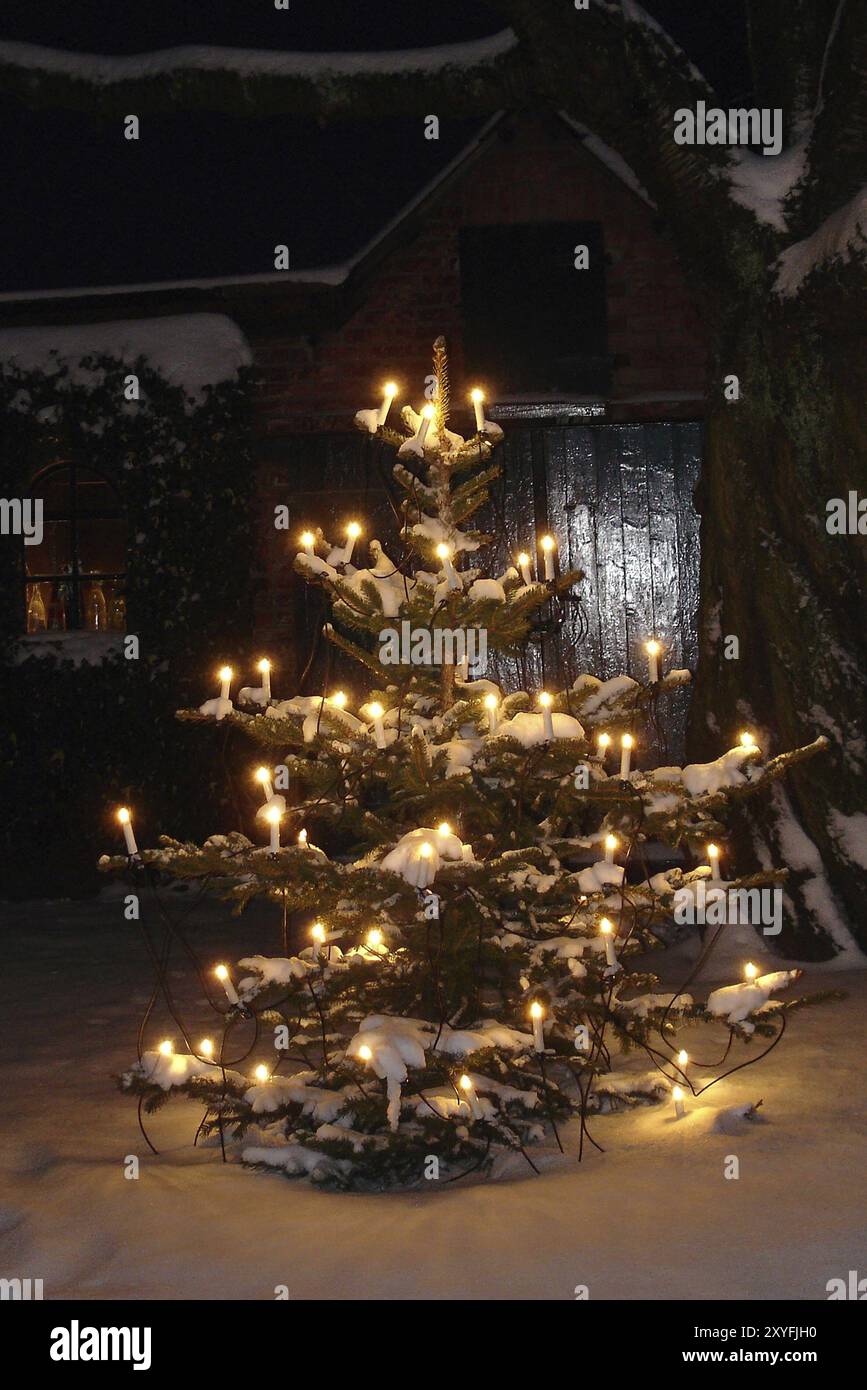 Weihnachtszeit, Weihnachtsbaum mit Lichtern im verschneiten Garten, Weihnachtszeit, Hamburg, Bundesrepublik Deutschland Stockfoto