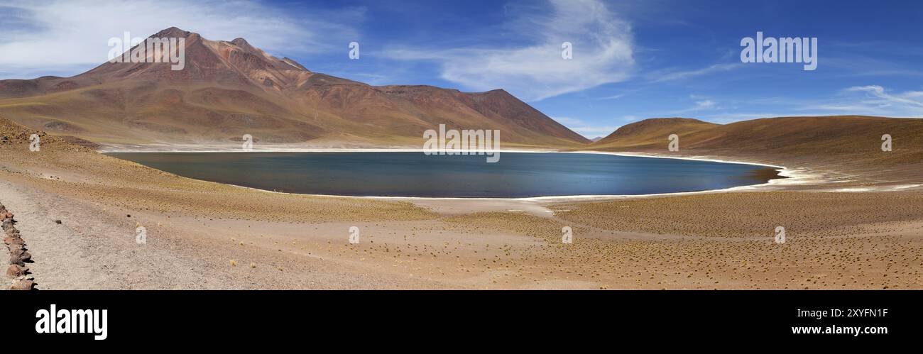 Laguna Miniques in der Atacama-wüste in Chile Stockfoto