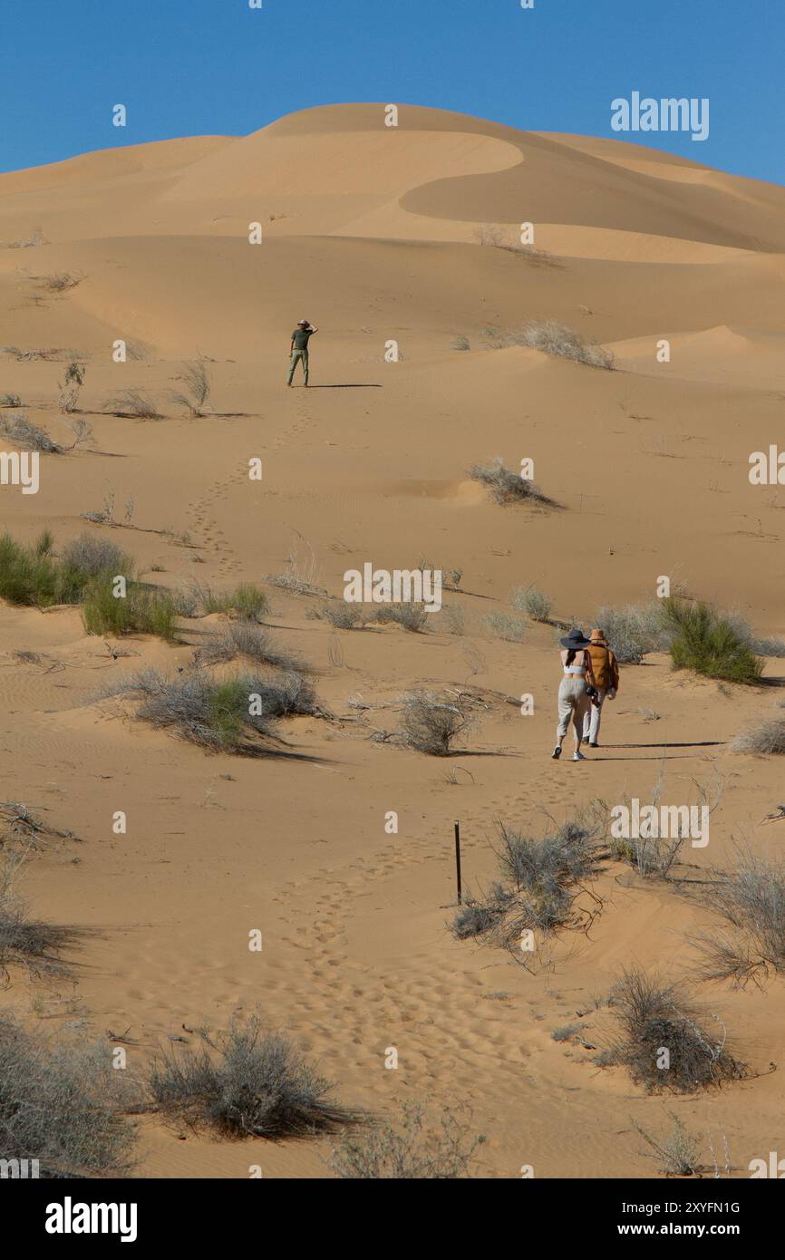 Eine Gruppe von drei Personen wandert in den Dünen der Sonora-Wüste. Stockfoto