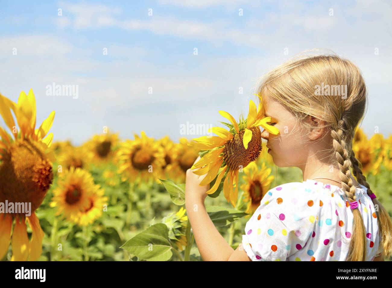 Kind spielt auf dem Sonnenblumenfeld an sonnigen Sommertagen. Das kleine Mädchen spielt mit Sonnenblumen Stockfoto