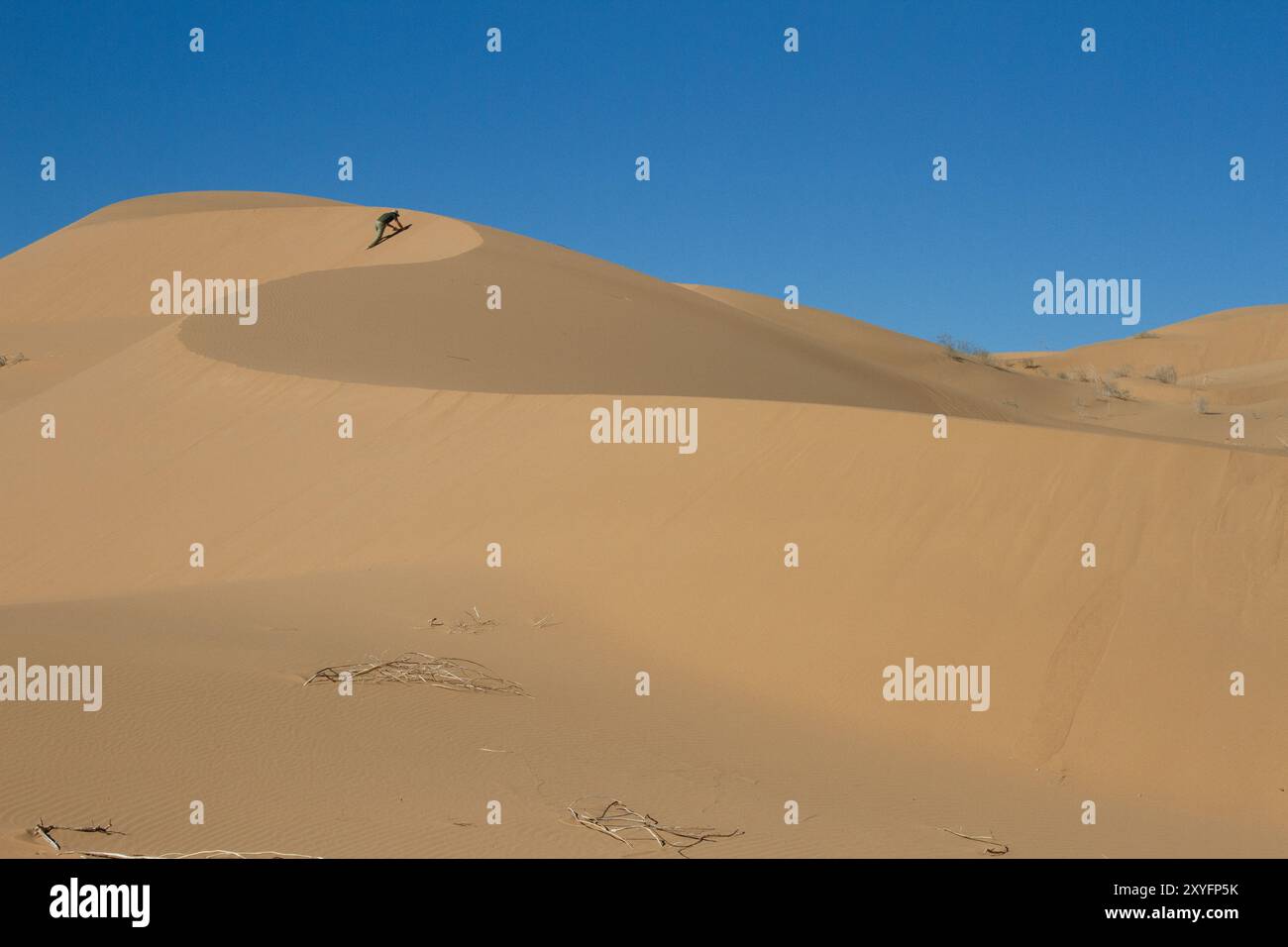 Eine Person, die eine Düne in der Wüste klettert. Gran Desierto de Altar, Sonora, Mexiko. Stockfoto
