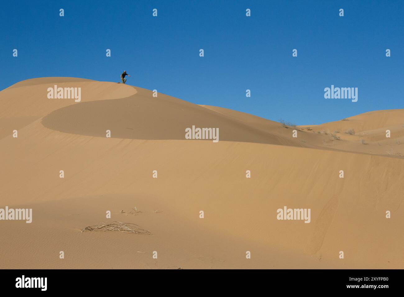 Eine Person, die eine Düne in der Wüste klettert. Gran Desierto de Altar, Sonora, Mexiko. Stockfoto