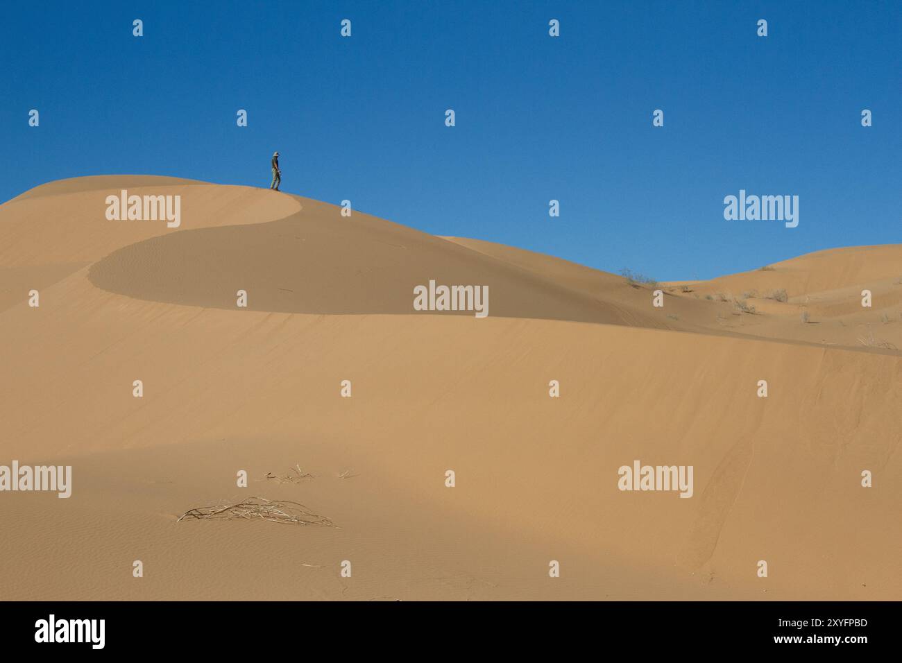 Eine Person, die eine Düne in der Wüste klettert. Gran Desierto de Altar, Sonora, Mexiko. Stockfoto