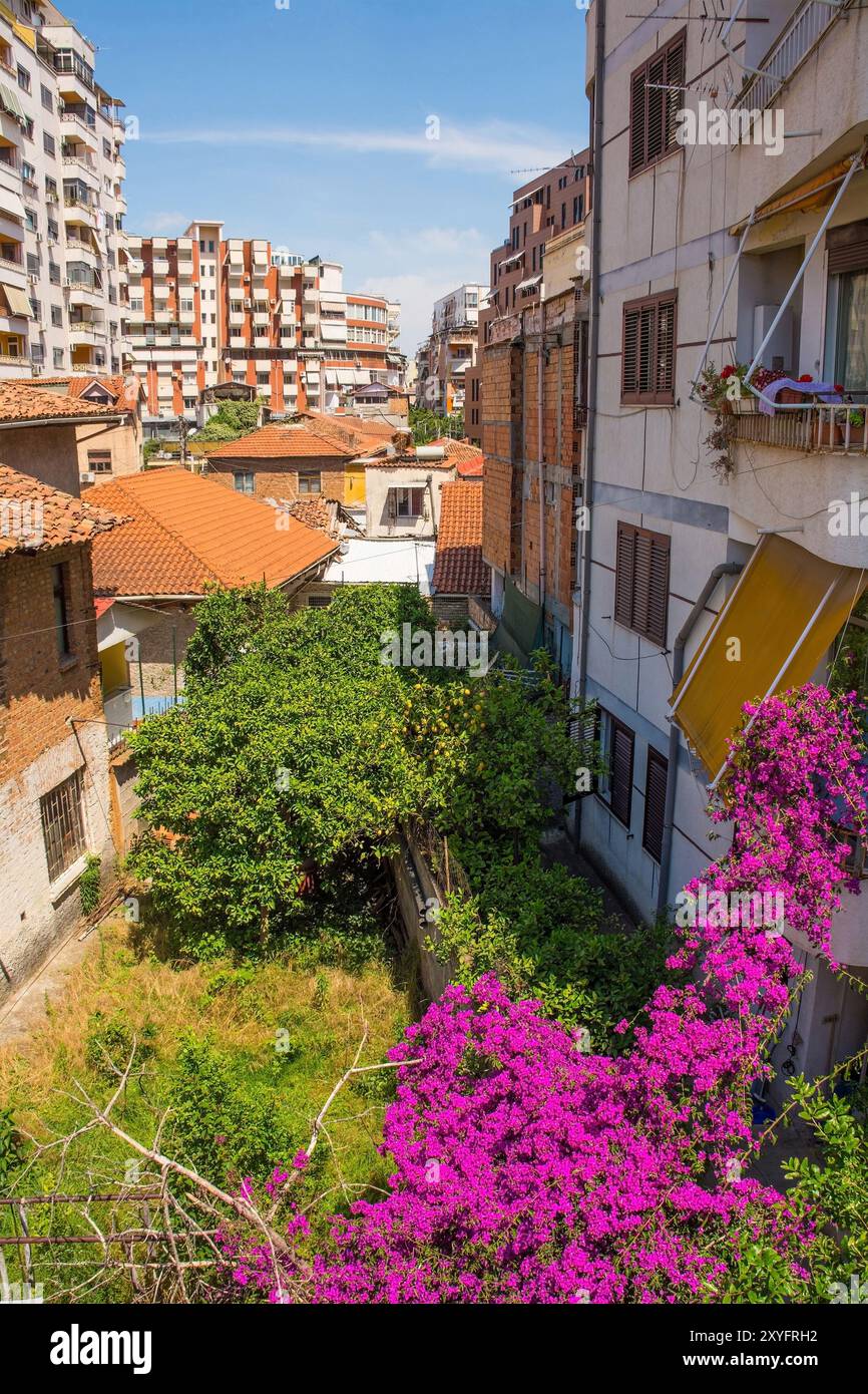 Häuser mit alten und neuen kontrastierenden Architekturstilen im Zentrum von Tirana, Albanien. Im Zentrum befindet sich ein bewachsener Innenhof mit Bougainvillea Stockfoto