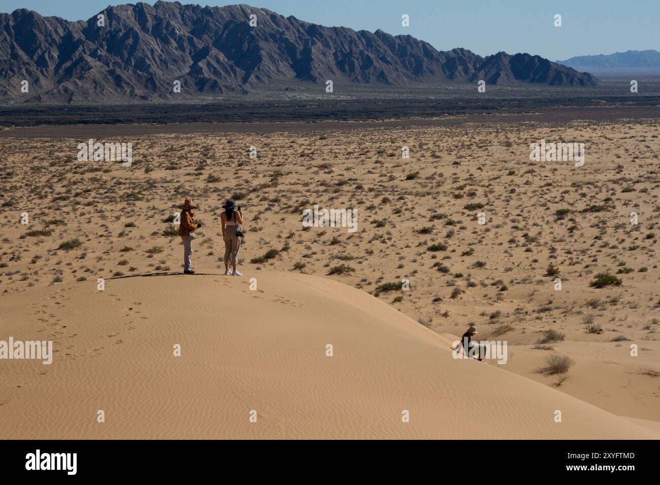 Drei Leute auf einem Hügel in der Wüste. Wüstenlandschaft. Gran Desierto de Altar, Sonora, Mexiko. Stockfoto