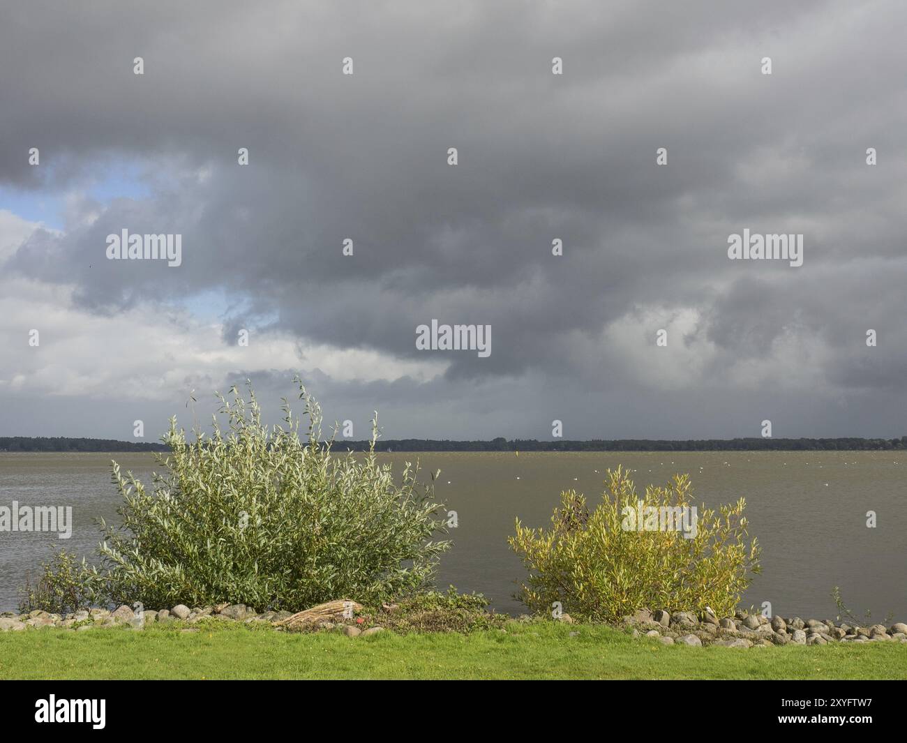 Ein See, flankiert von Büschen und grünen Pflanzen unter einem Himmel mit dunklen Wolken, Bad Zwischenahn, ammerland, deutschland Stockfoto