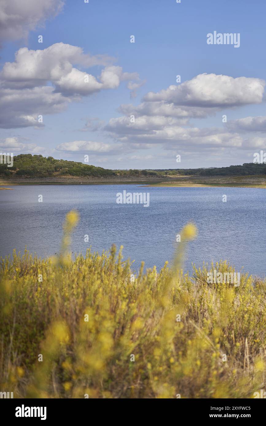 Naturlandschaft des Minutos-Stausees mit gelben Blumen an einem sonnigen Tag in Alentejo, Portugal, Europa Stockfoto