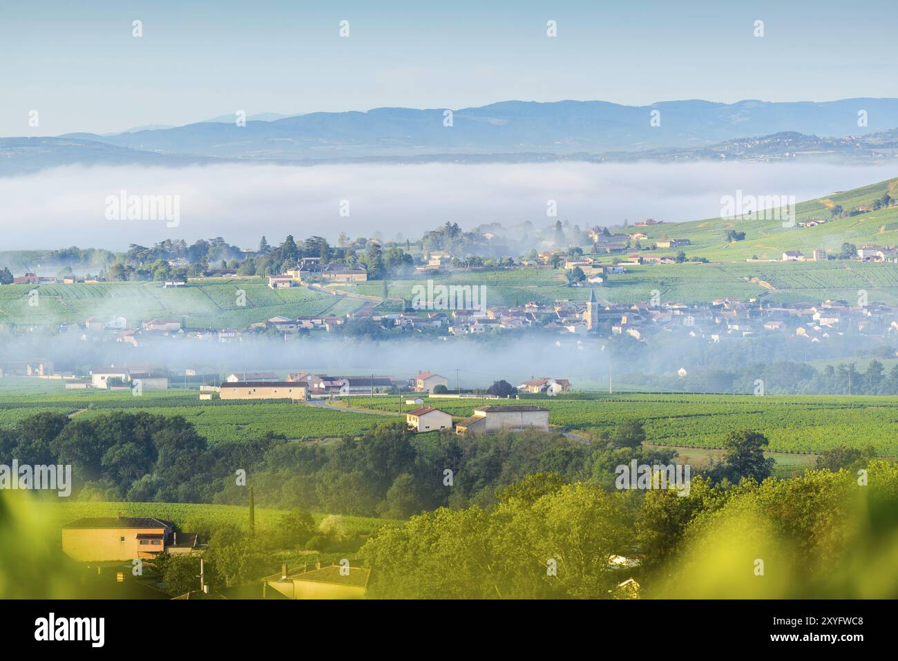 Cercie Village and Vineyards, Beaujolais, Frankreich, Europa Stockfoto