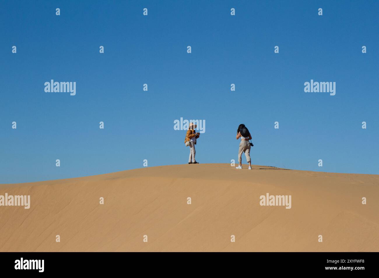 Zwei Frauen auf einem Hügel in der Wüste. Sonora, Wüste. Stockfoto