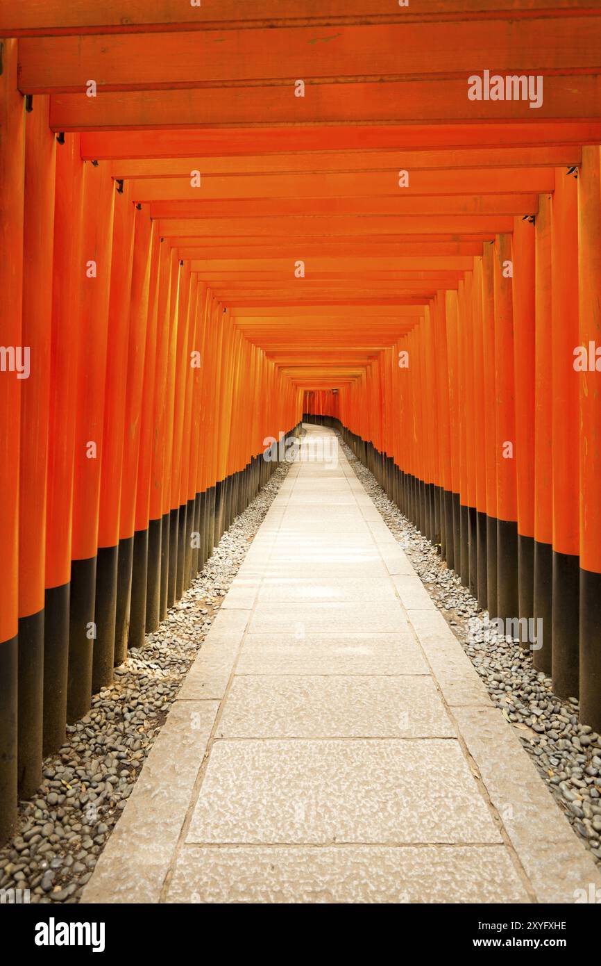 Der mittige Steingang führt tagsüber geradeaus mitten durch die sich wiederholenden symmetrischen roten Torii-Tore am Fushimi Inari-Schrein hinunter, ohne dass jemand vorkommt Stockfoto