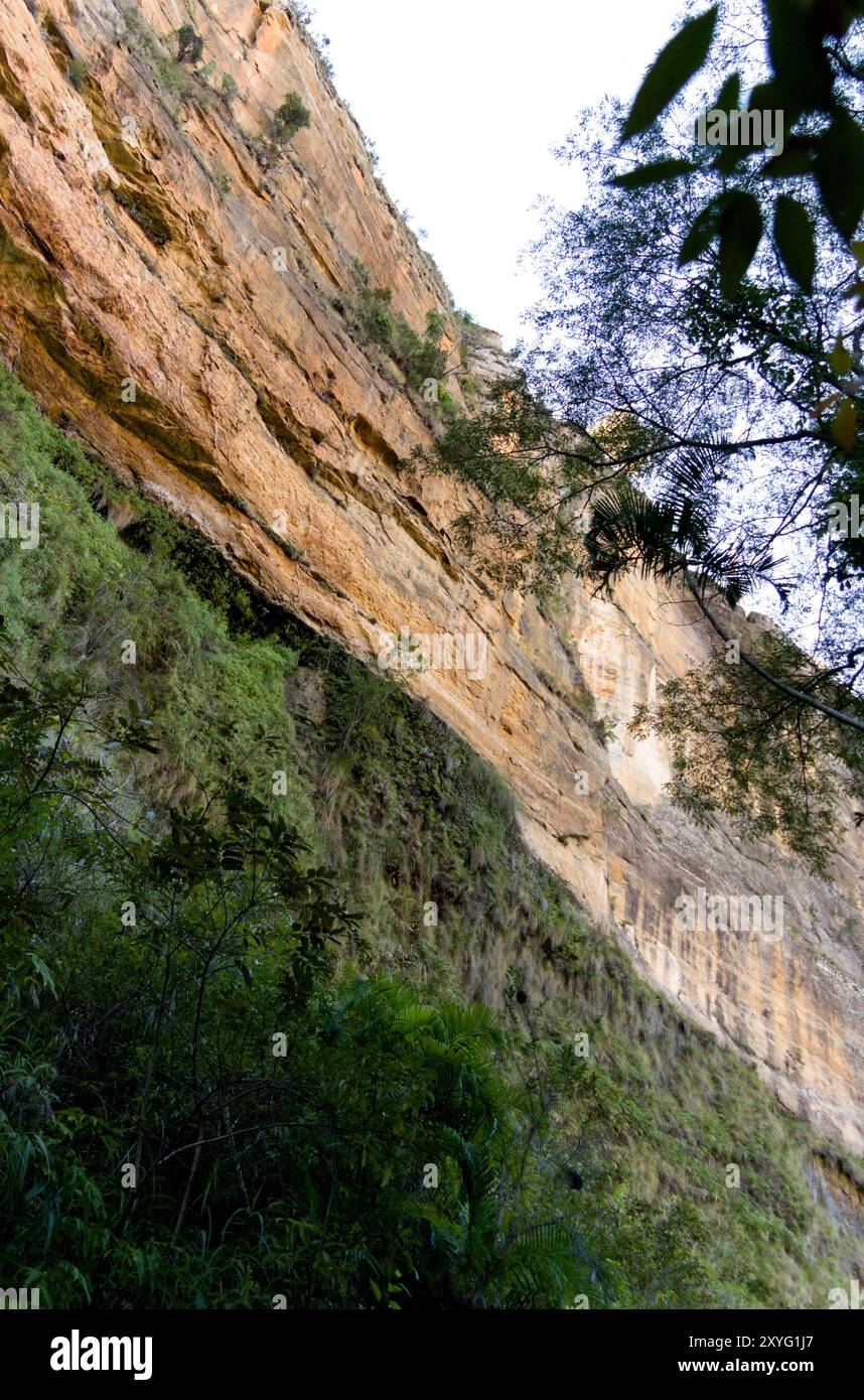Felswand vom Boden des Canyons im Isalo National Park, Madagaskar Stockfoto