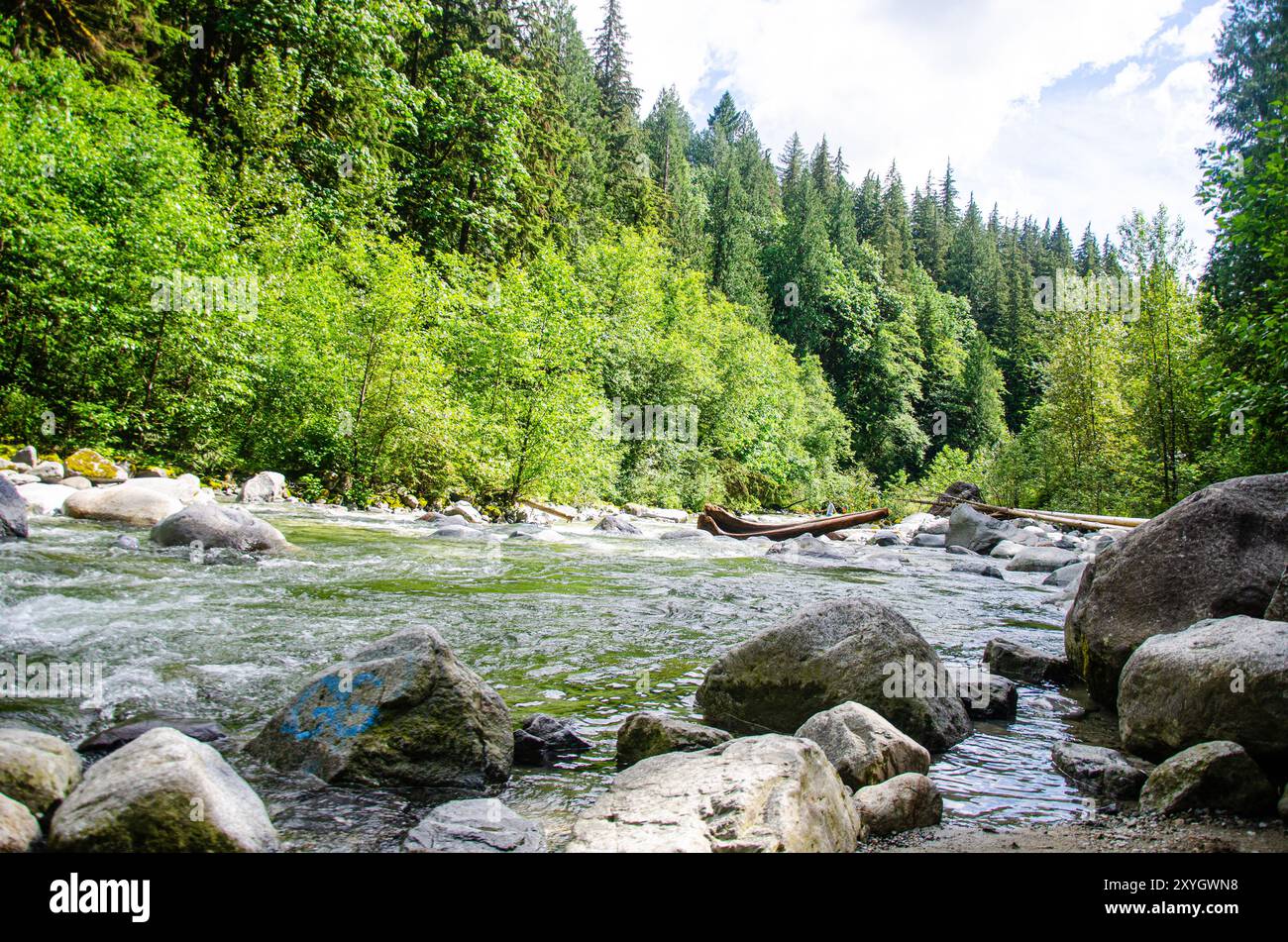 Kettle River in der Nähe von Cascade Falls nordöstlich von Mission, BC, Kanada Stockfoto