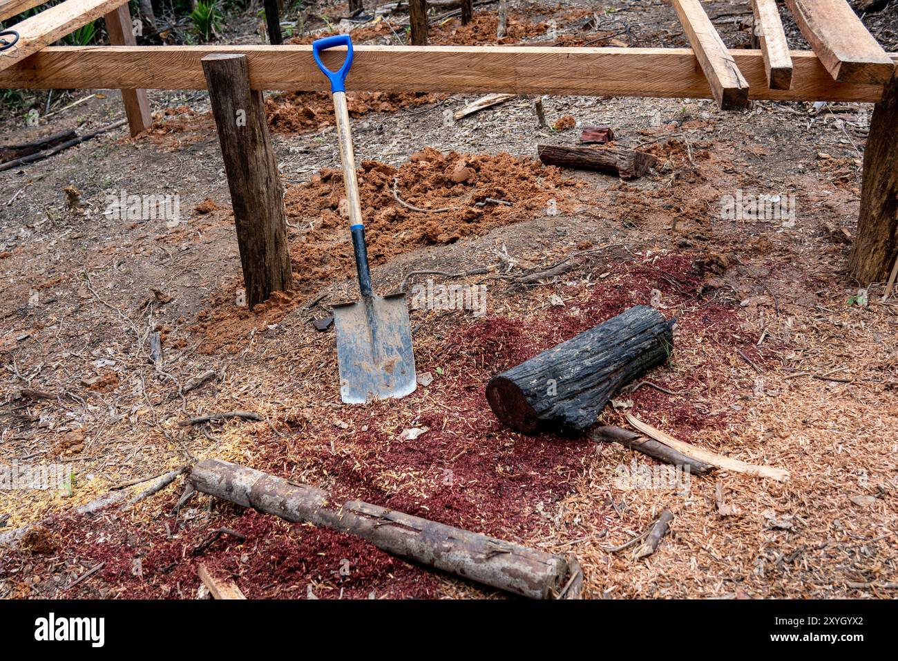 Ursprünglicher Rahmen für den Bau des Amazonas Natural Healing Center unweit von Iquitos, Peru Stockfoto