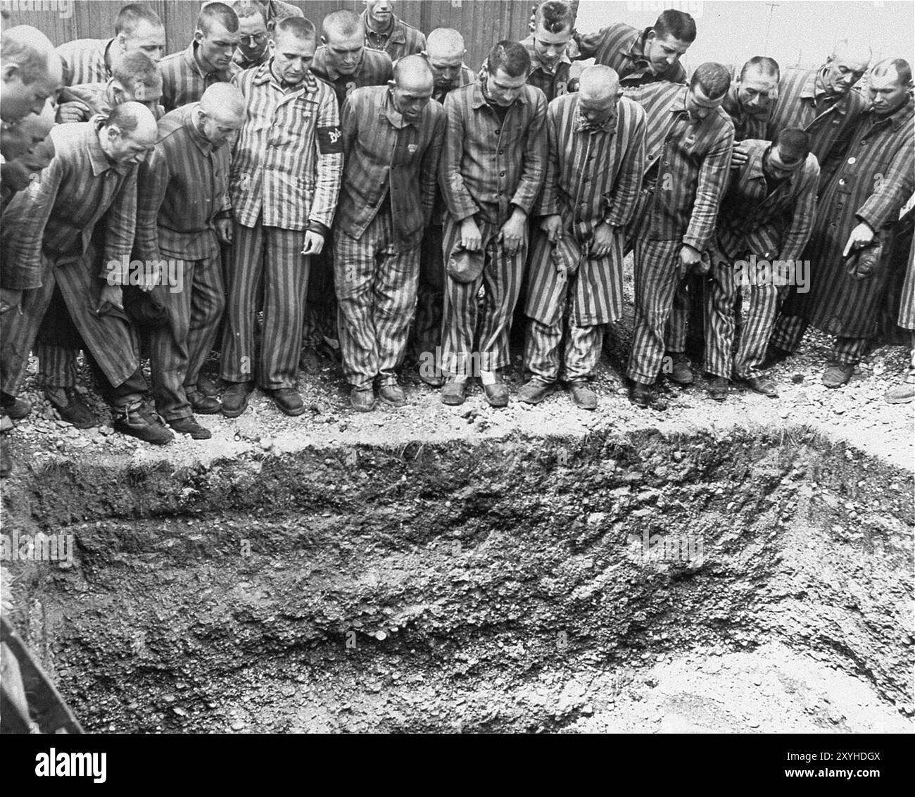 Eine Gruppe Überlebender in Dachau, die in ein offenes Massengrab schauen. Dachau war das erste Konzentrationslager der nazis, das am 22. März 1933 eröffnet wurde (nur sieben Wochen nach der Machtergreifung Hitlers). Obwohl es ein Zwangsarbeitslager war und es dort keine Gaskammern gab, waren Brutalität und gewalttätige Strafen die Norm. Dort gab es 32000 dokumentierte Todesfälle und viele Tausende weitere undokumentierte Todesfälle. Das Hauptlager (Dachau hatte 100 Unterlager) wurde am 29. April 1945 von der US-Armee befreit. Stockfoto