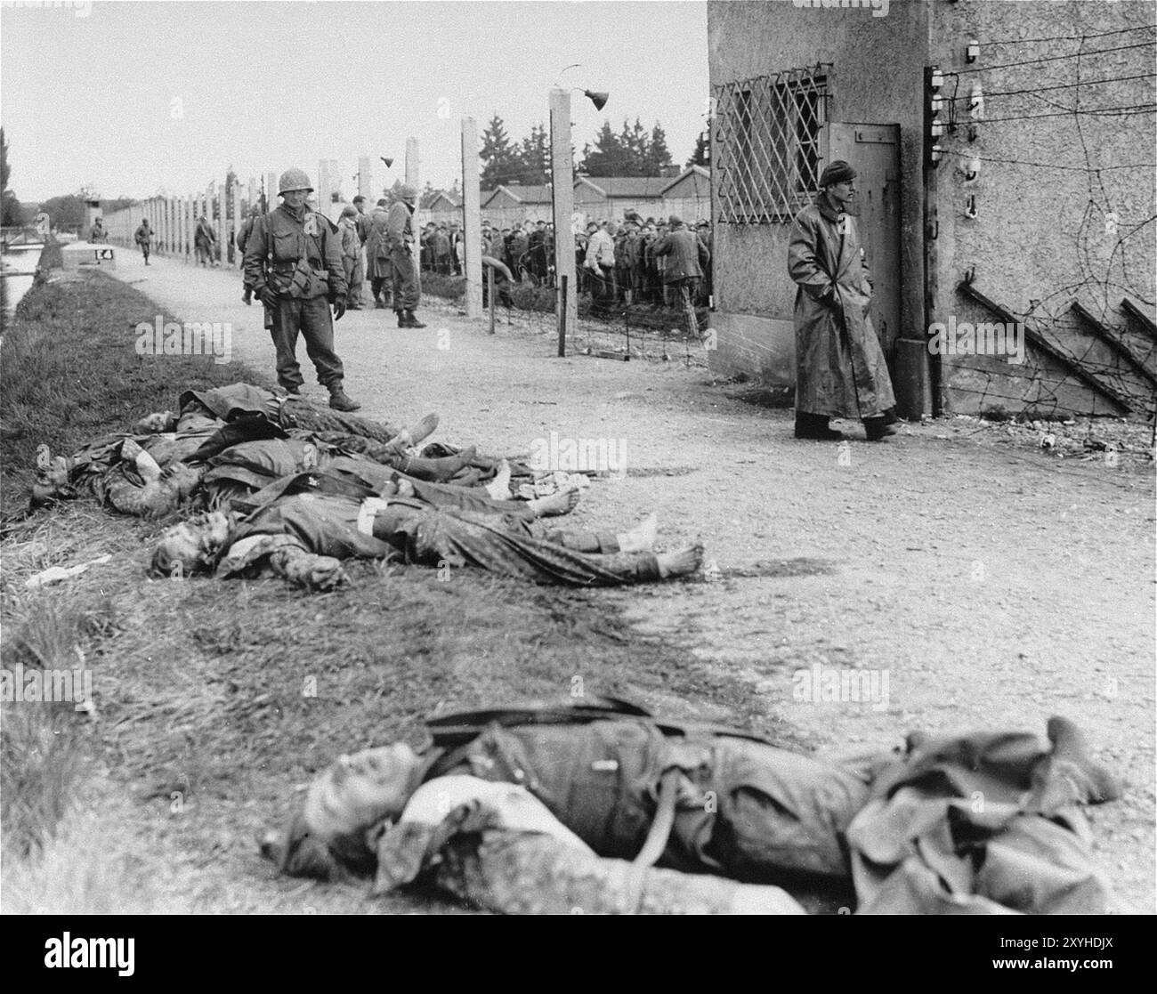 Als die US-Armee in Dachau einmarschierte, gab es einen spontanen Vergeltungsakt, bei dem etwa 30 SS-Wachen von US-Truppen getötet wurden. Hier sieht ein US-Soldat ein paar der toten SS-Männer an. Obwohl es ein Zwangsarbeitslager war und es dort keine Gaskammern gab, waren Brutalität und gewalttätige Strafen die Norm. Dort gab es 32000 dokumentierte Todesfälle und viele Tausende weitere undokumentierte Todesfälle. Das Hauptlager (Dachau hatte 100 Unterlager) wurde am 29. April 1945 von der US-Armee befreit. Stockfoto