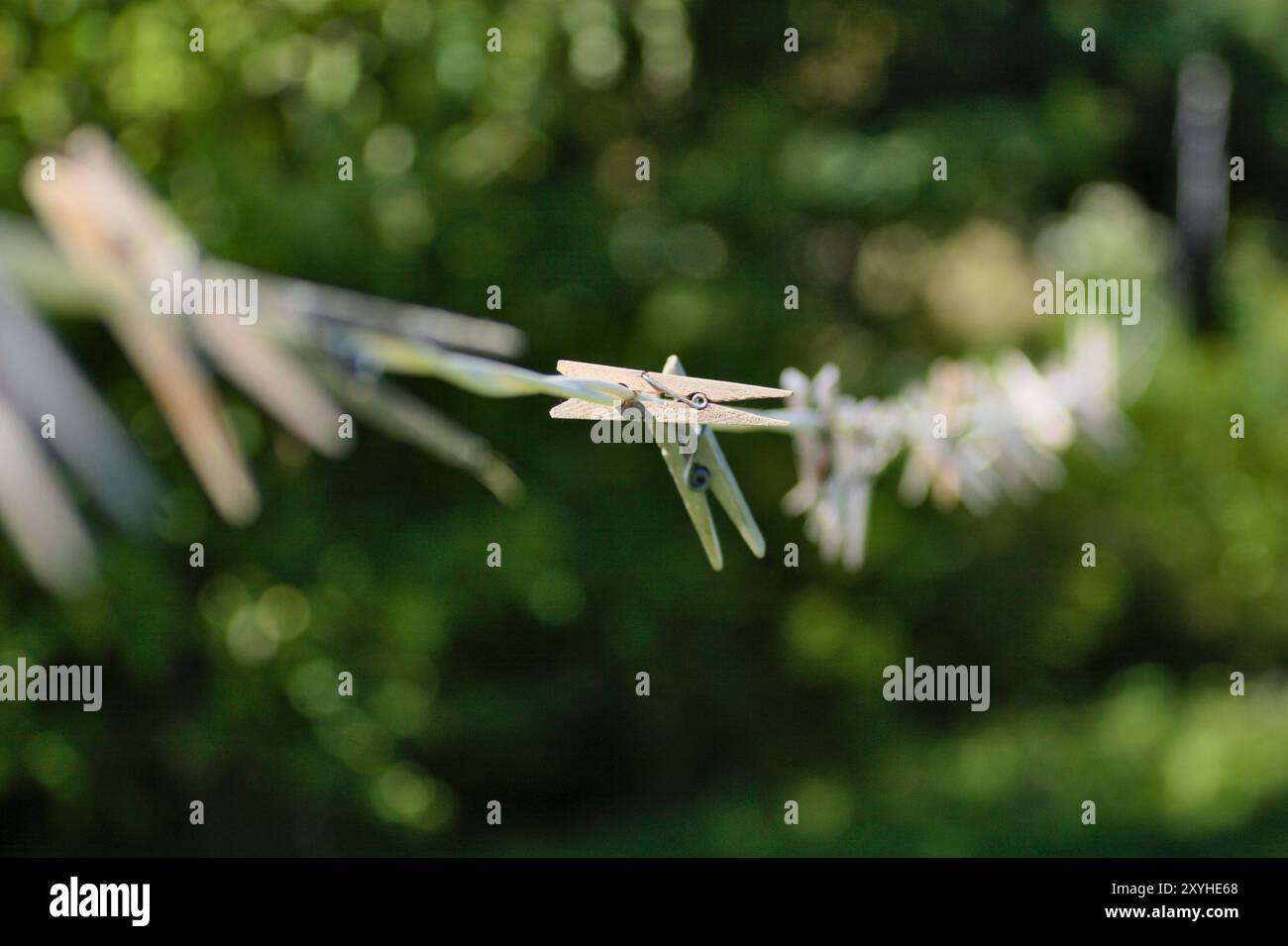 Hölzerne Kleiderschalen hängen an einer Linie vor einem verschwommenen grünen Hintergrund. Der Fokus liegt auf einer einzigen Nadel, die eine ruhige und minimalistische Tagesszene für Wäscherei schafft Stockfoto