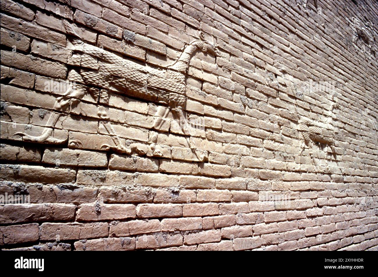 Restaurierte Mauer mit einem Mushussu-Drachen, mythische Kreatur, die im alten Babylon, Irak, 1981 verehrt wurde Stockfoto