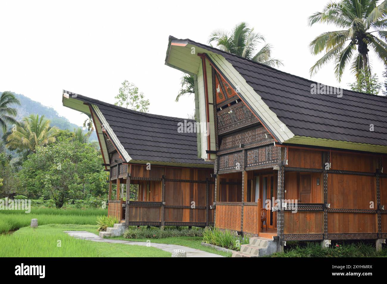 Tongkonan traditionelle Häuser und natürliche Landschaft in Nord-Toraja Touristenattraktionen. Indonesiens natürliche Schönheit Stockfoto