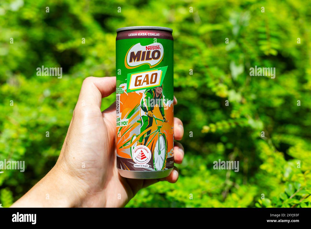 Halten Sie mit der linken Hand eine Dose Nestlé Milo Gao Drink, eine dickere Version des Schokoladenmalzgetränks als die Standardversion. Stockfoto