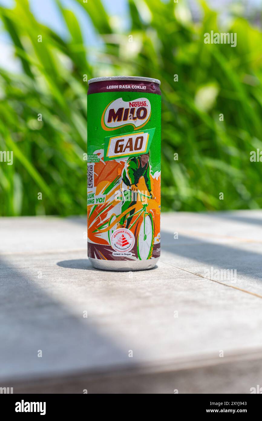 Vertikale kalte Dose Nestlé Milo Gao Getränkedose auf dem Boden, eine dickere Version des Schokoladenmalzgetränks als die Standardversion. Stockfoto
