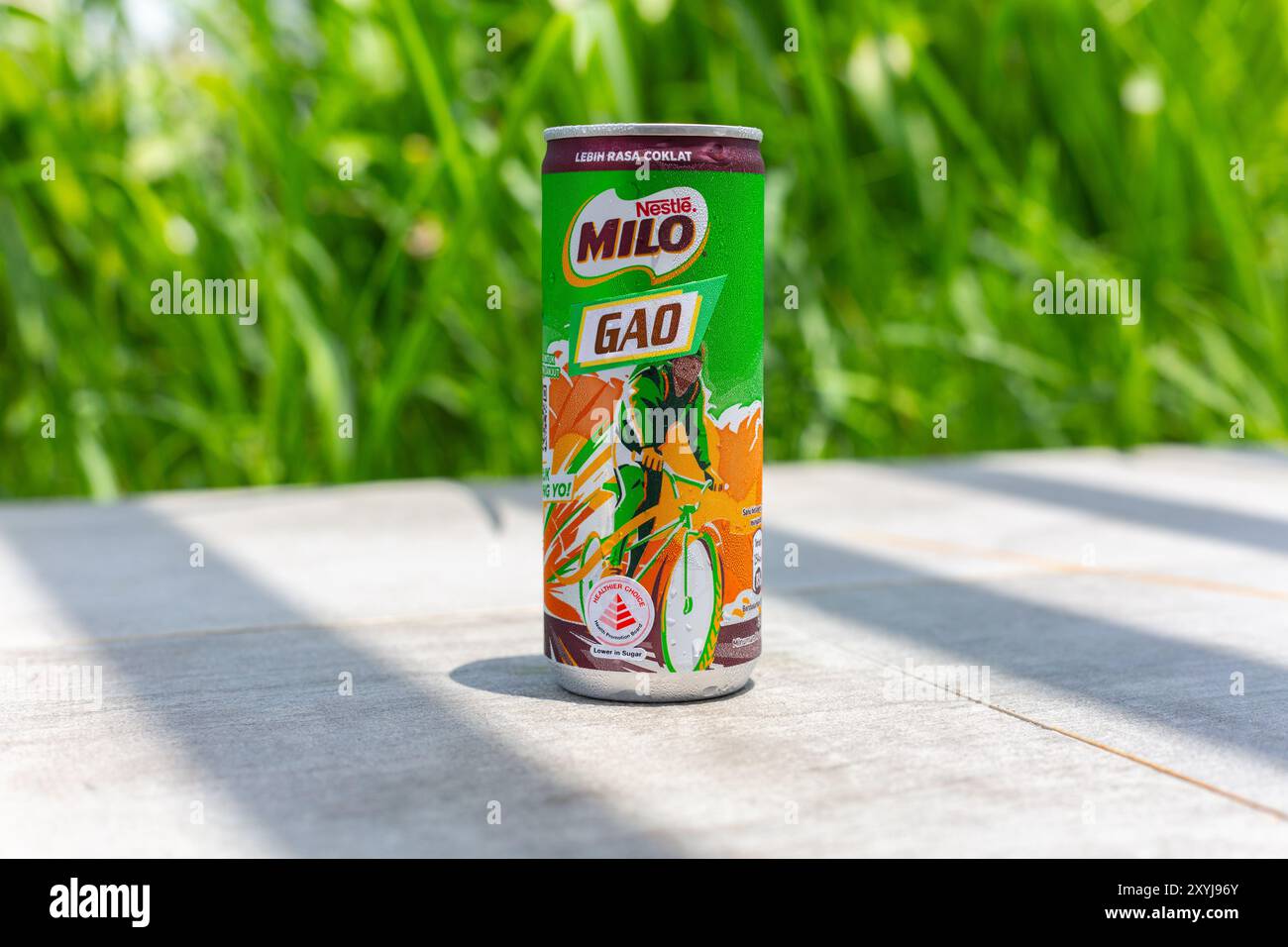 In der Mitte befindet sich eine Dose Nestlé Milo Gao, eine dickere Version des Schokoladenmalzgetränks als die Standardversion. Stockfoto