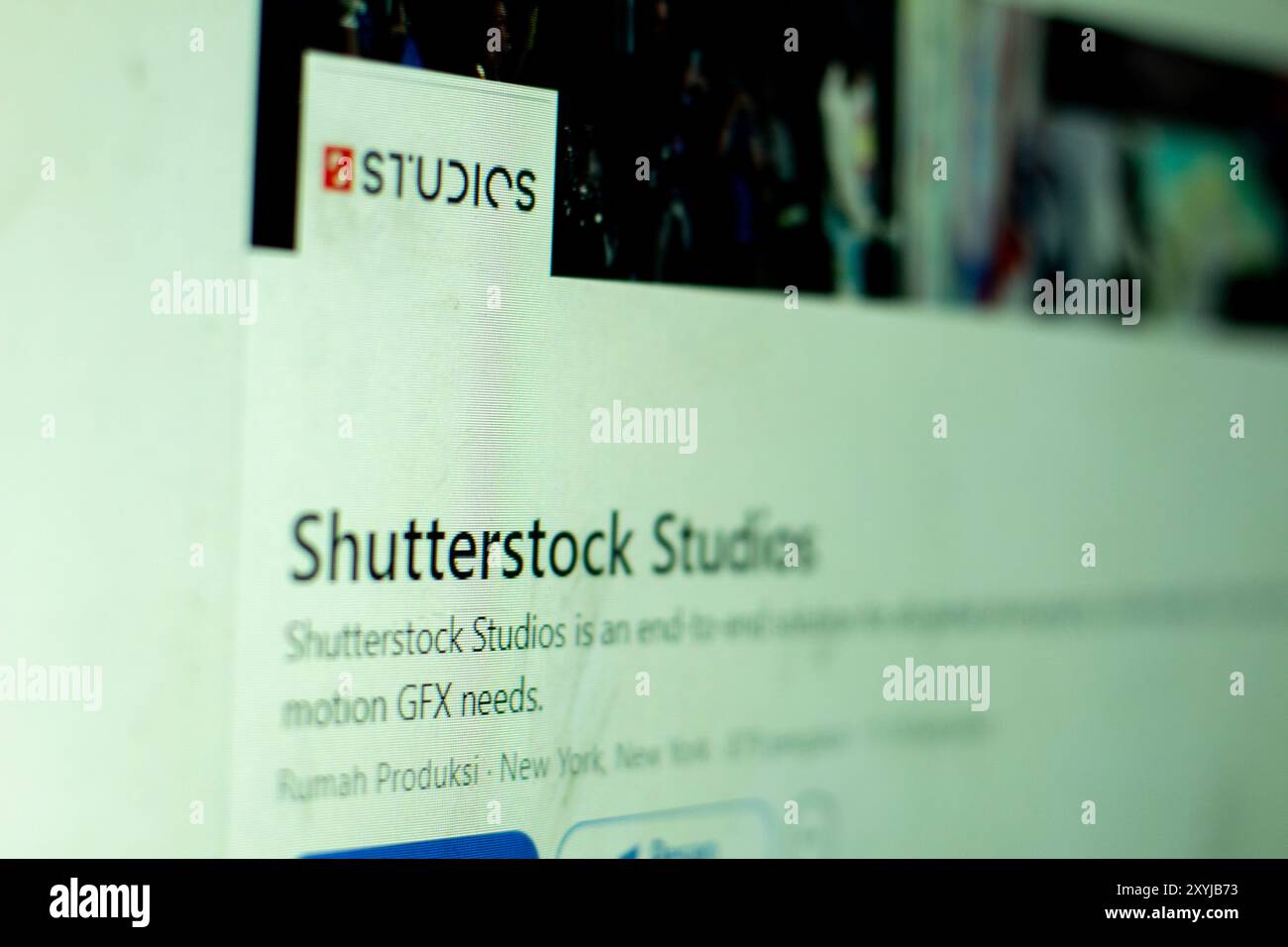 Pringsewu, Lampung; 31. August 2024; Firmenlogo der Shutterstock Studios auf dem Bildschirm der Website im Hintergrund Stockfoto