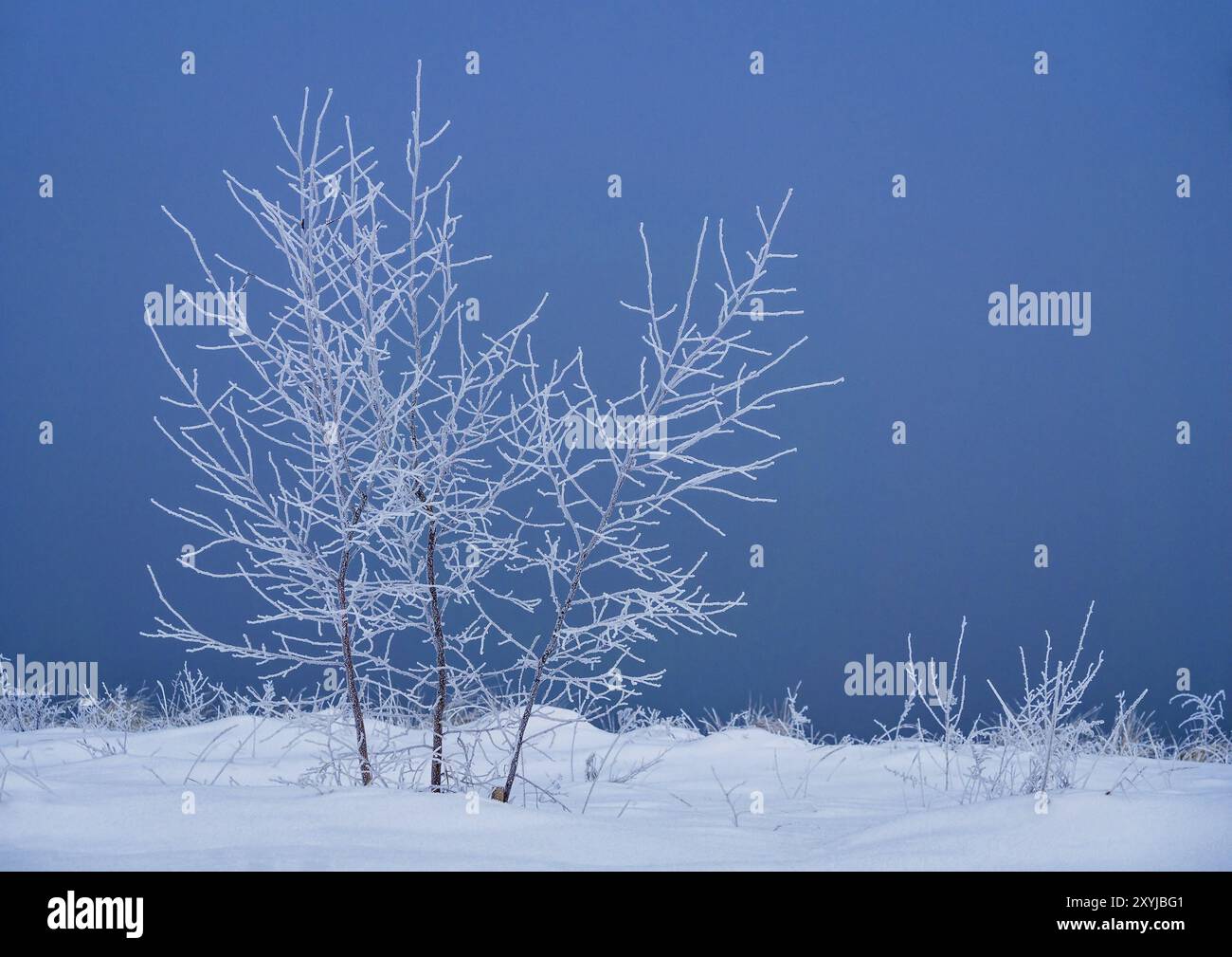 Winter an der Ostseeküste Stockfoto