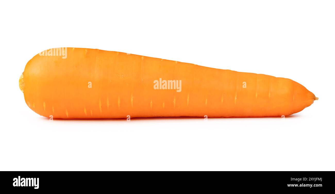 Seitenansicht der frischen orangefarbenen Karotte ist auf weißem Hintergrund mit Beschneidungspfad isoliert. Stockfoto