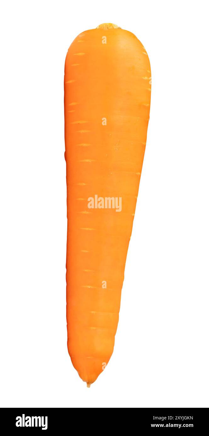 Die Draufsicht der frischen orangefarbenen Karotte ist auf weißem Hintergrund mit Beschneidungspfad isoliert. Stockfoto
