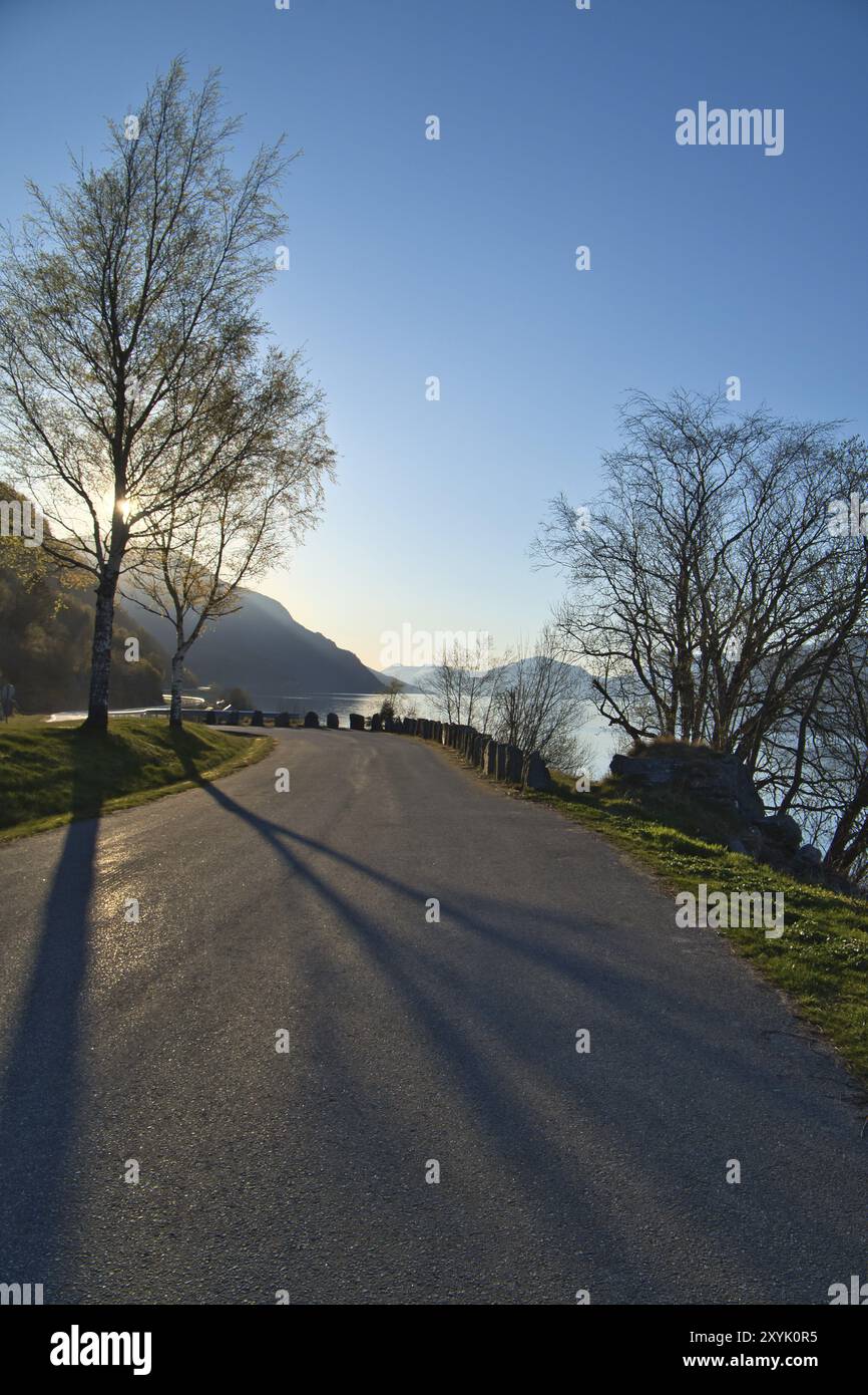 Parkplatz mit Blick auf die Straße, den Nordfjord und Bergen in Norwegen. Sonnenstrahlen fallen durch die Bäume. Landschaftsaufnahmen aus Skandinavien Stockfoto