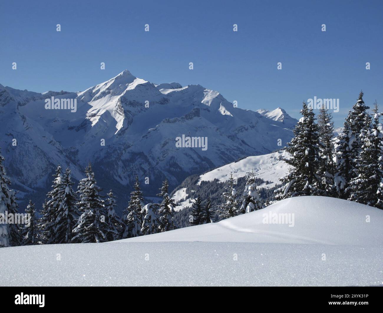 Wunderschöne Winterlandschaft im Berner Oberland Stockfoto