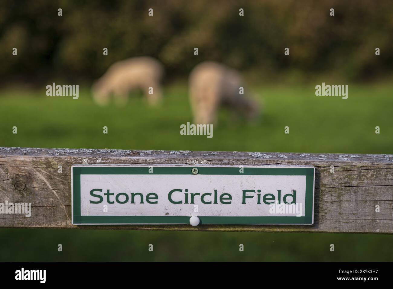 Zeichen: Steinkreis Feld, in Malmsmead, Devon, England, UK gesehen Stockfoto