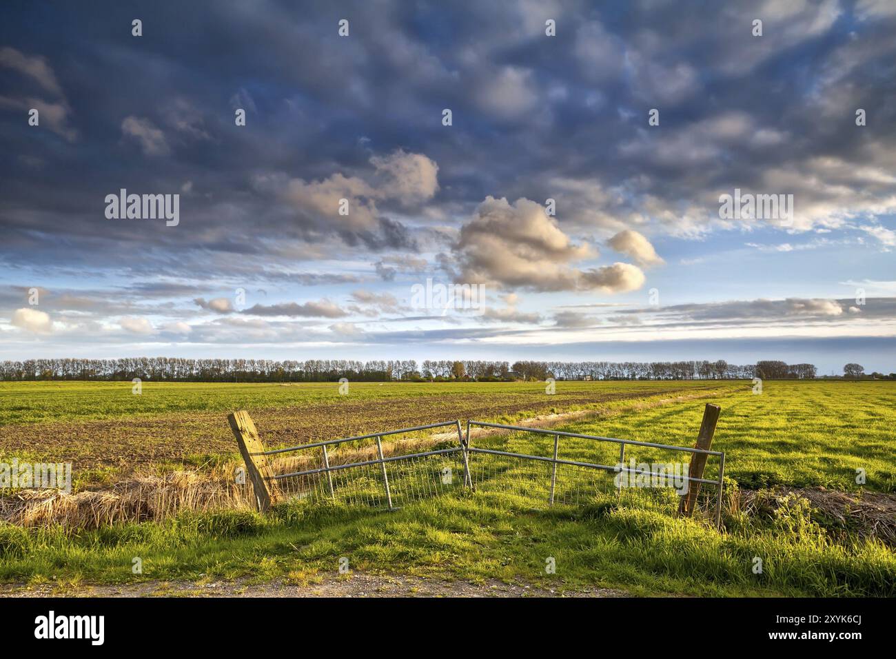 Zäune auf wunderschönem holländischem Ackerland vor Sonnenuntergang, Groningen, Niederlande Stockfoto