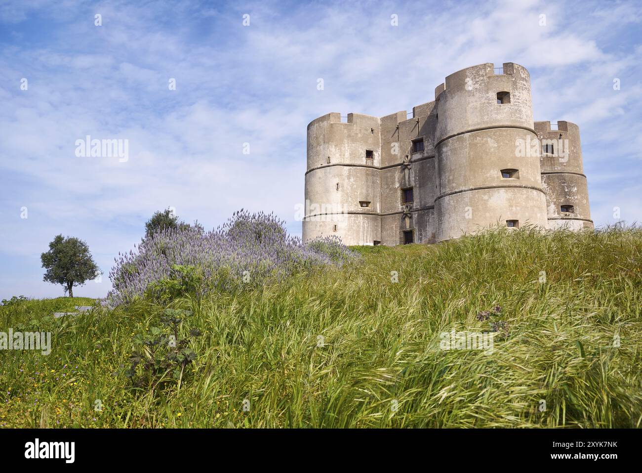 Schloss Evoramonte in Alentejo, Portugal, Europa Stockfoto