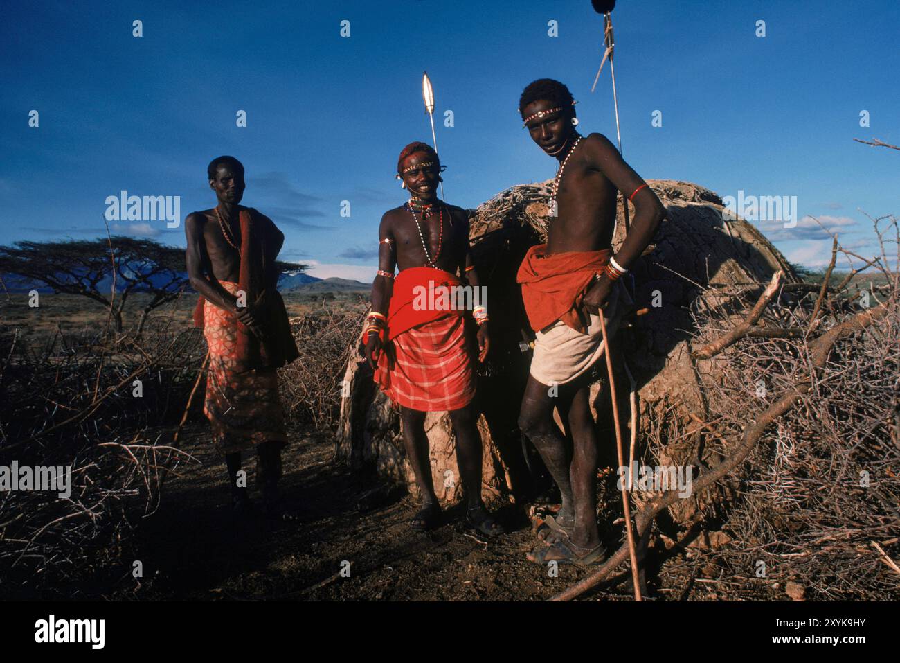 Samburu-Krieger, Kenia. Stockfoto