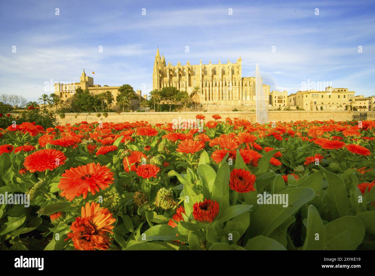 Catedral de Palma (La Seu) (s.. XIV-XVI) Parque del mar.Palma.Mallorca.Baleares.Espana Stockfoto