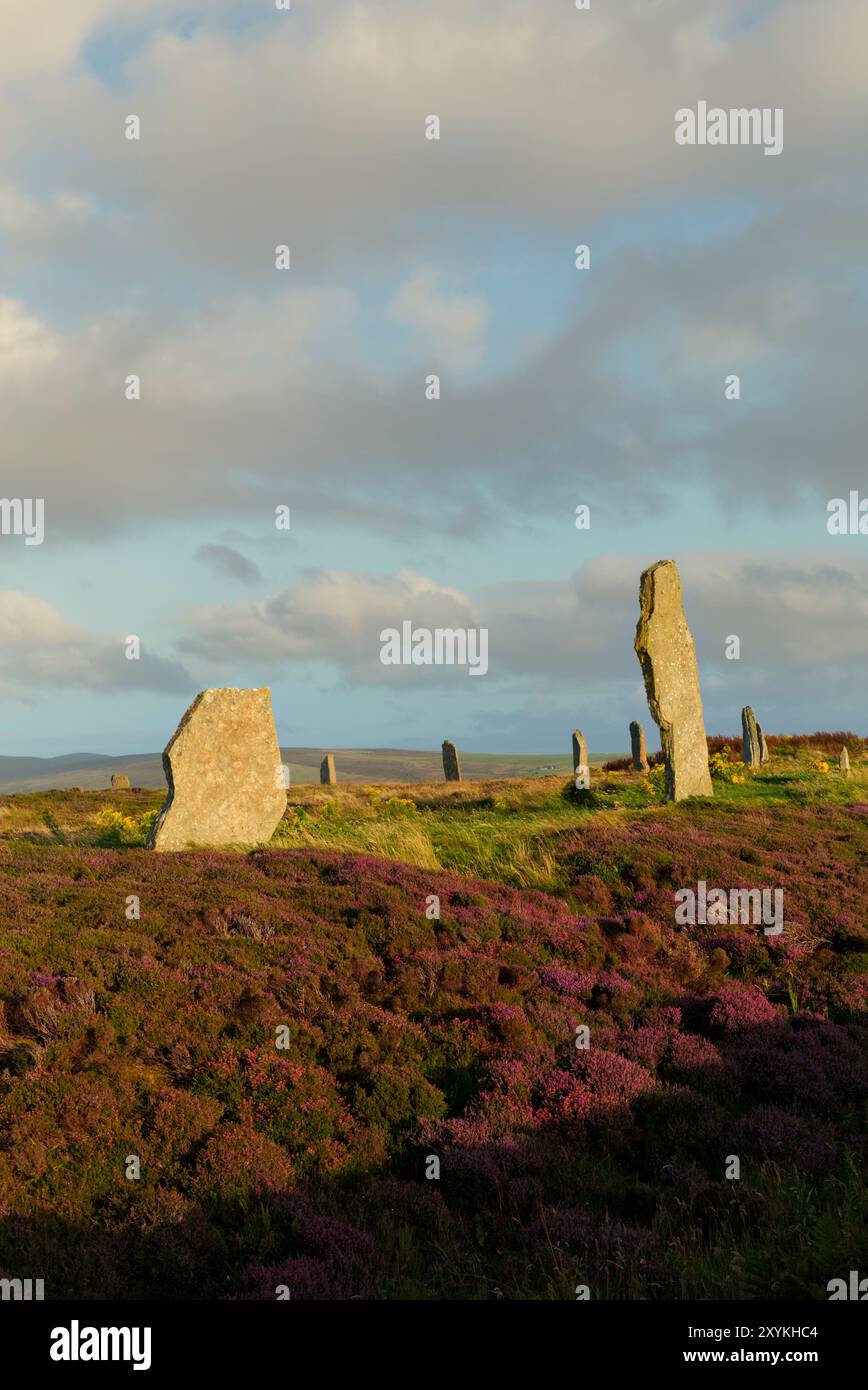 Ring des Brodgar-Steinkreises, Orkney-Inseln Stockfoto