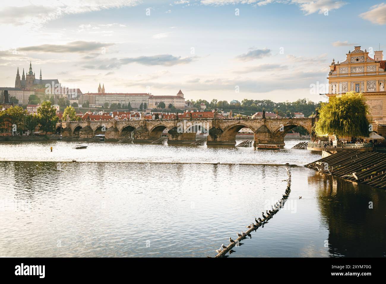 Karlsbrücke in goldener Stunde bei Sonnenuntergang in Praha (prag), Tschechische Republik Stockfoto