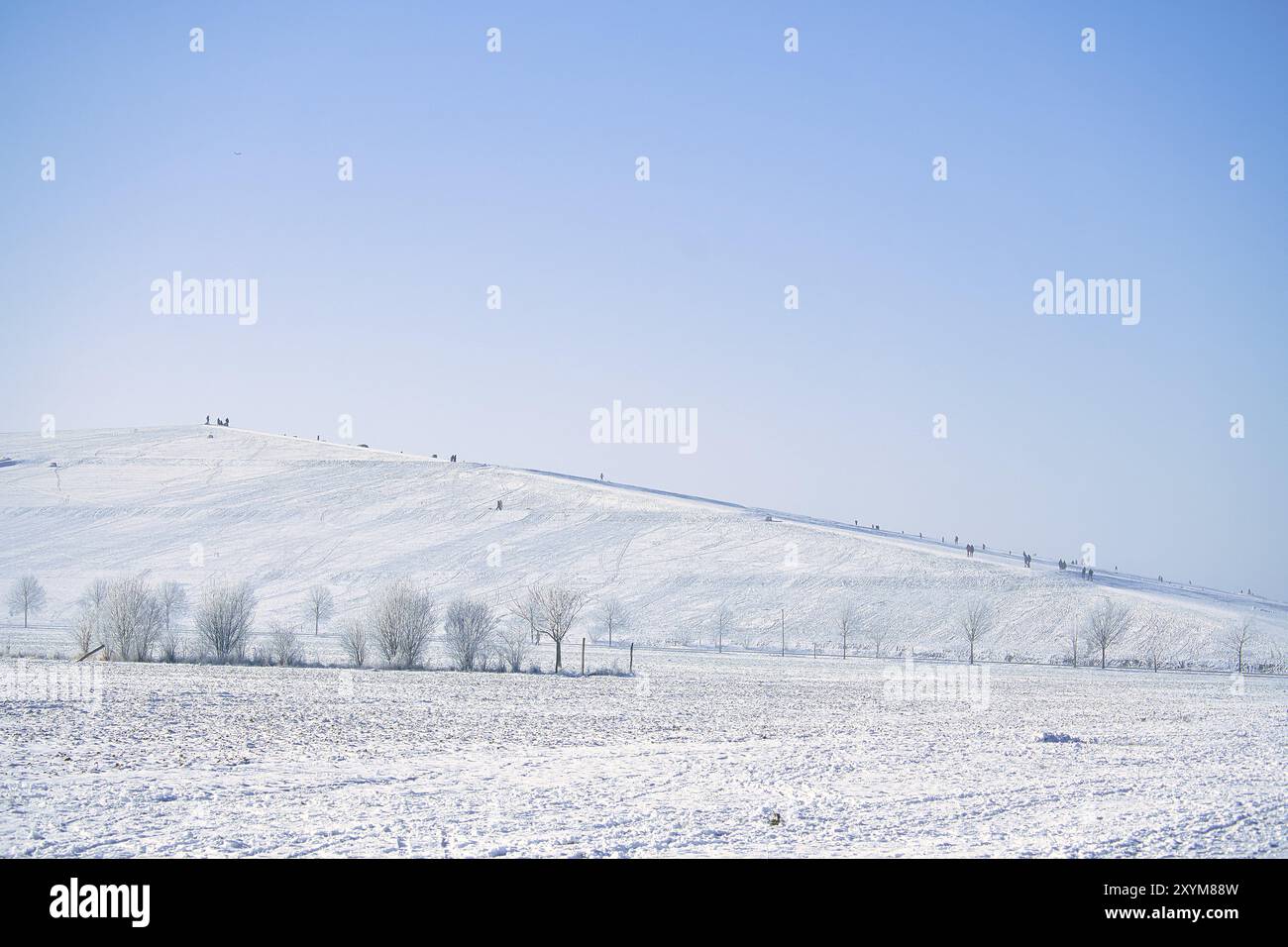 Winterlandschaft mit Bäumen am Rand eines schneebedeckten Feldes. Landschaftsaufnahme im Winter Stockfoto