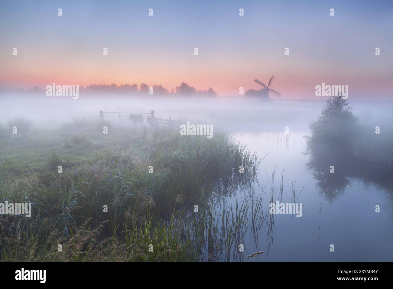 Windmühle und dichter Nebel über dem Fluss bei Sommersonnenaufgang Stockfoto