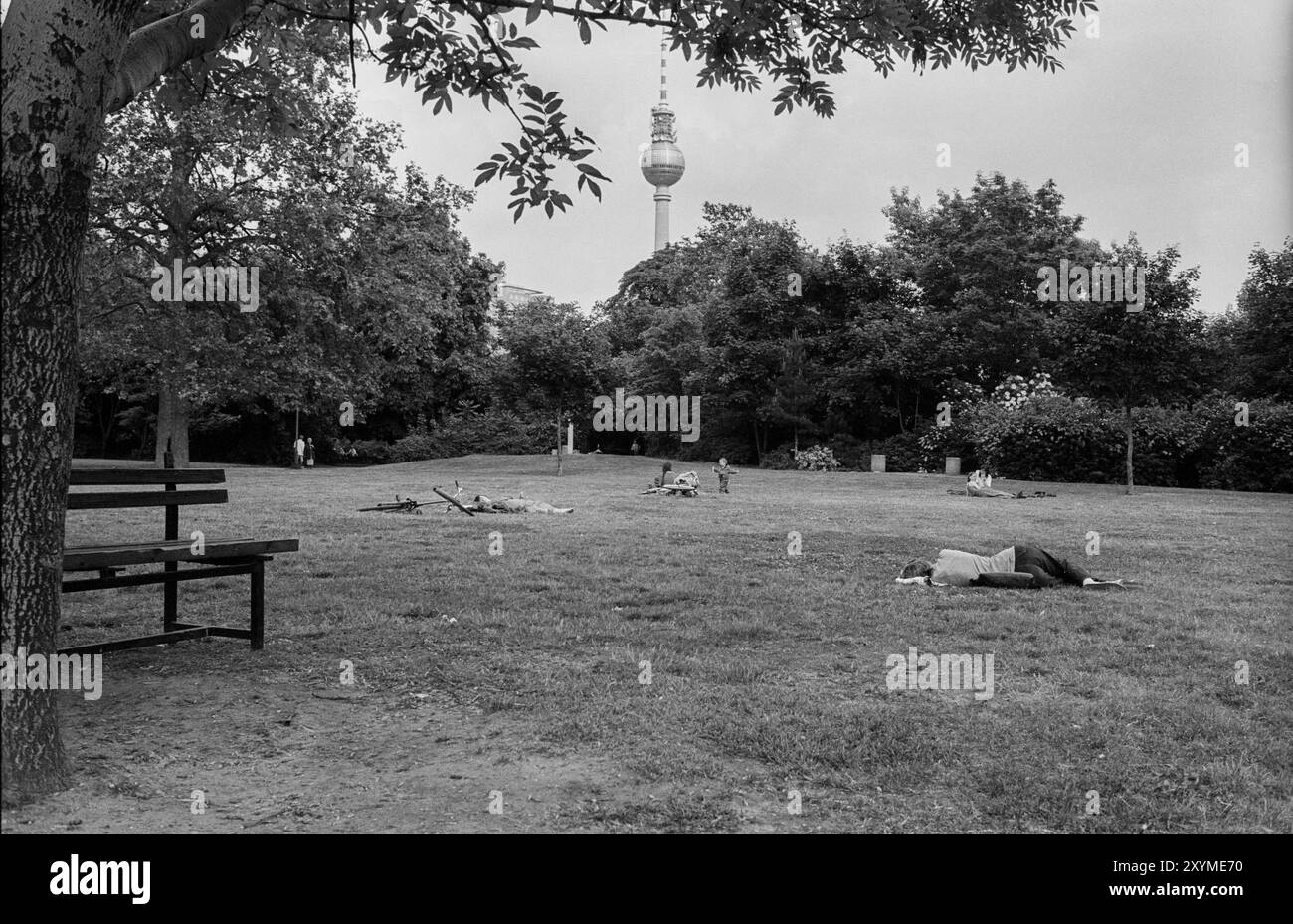 Deutschland, Berlin, 18.06.1991, Monbijou Park, Fernsehturm, Europa Stockfoto