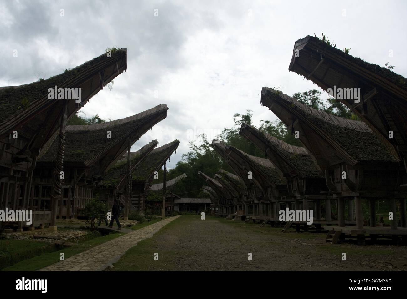 Eine Reihe traditioneller Bootshäuser in einem Dorf in Tana Toraja in der Nähe von Rantepao, Sulawesi, Indonesien, Asien Stockfoto