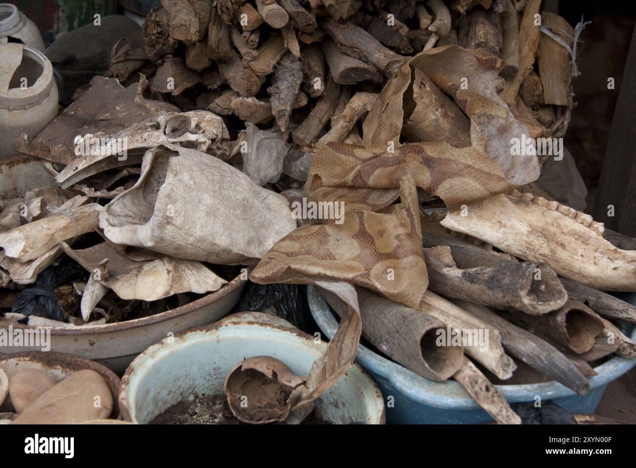 Marktstand mit Zutaten für die traditionelle Medizin Stockfoto