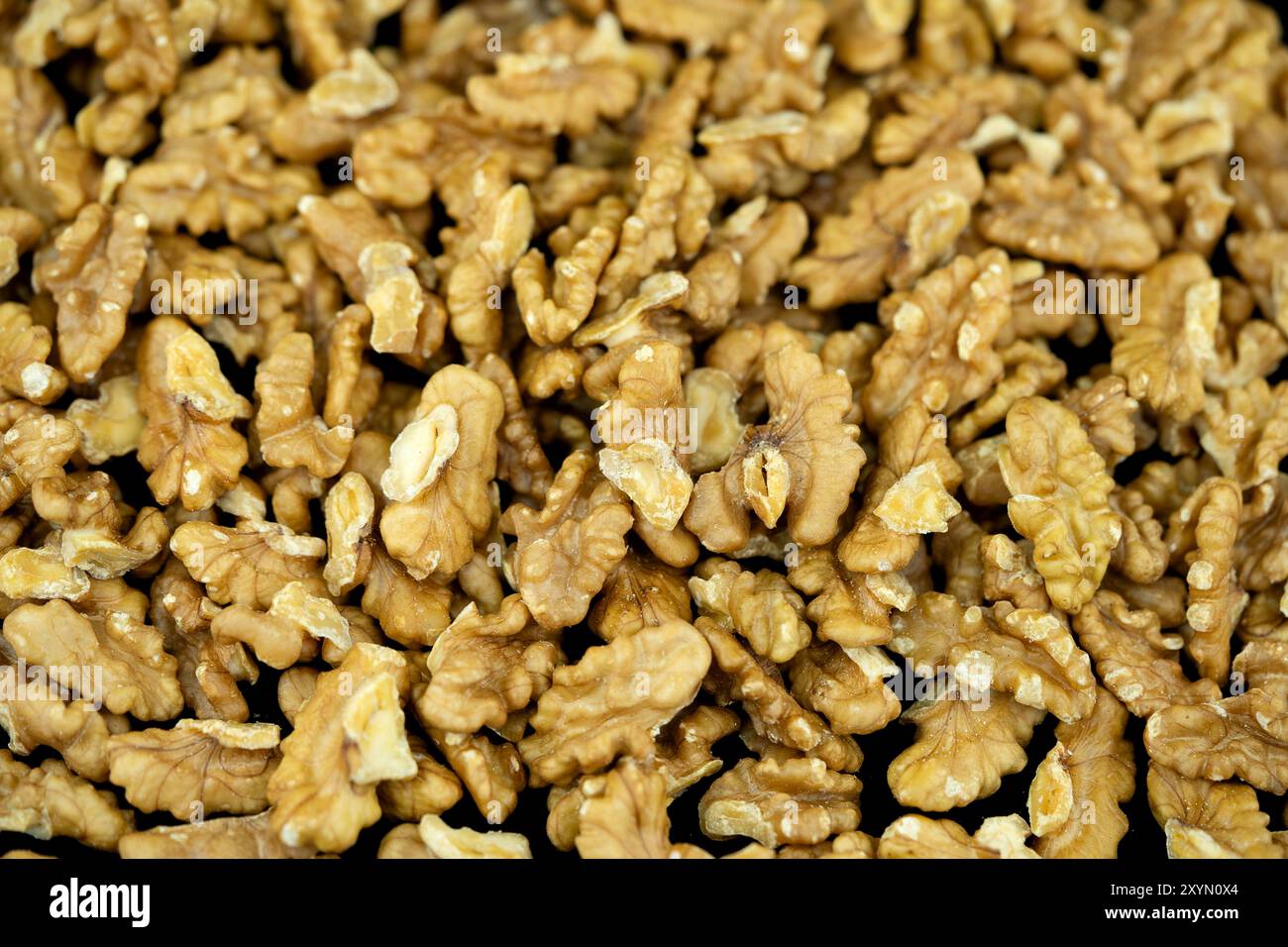 Walnuss (Juglans regia), gebrochene Walnüsse Stockfoto