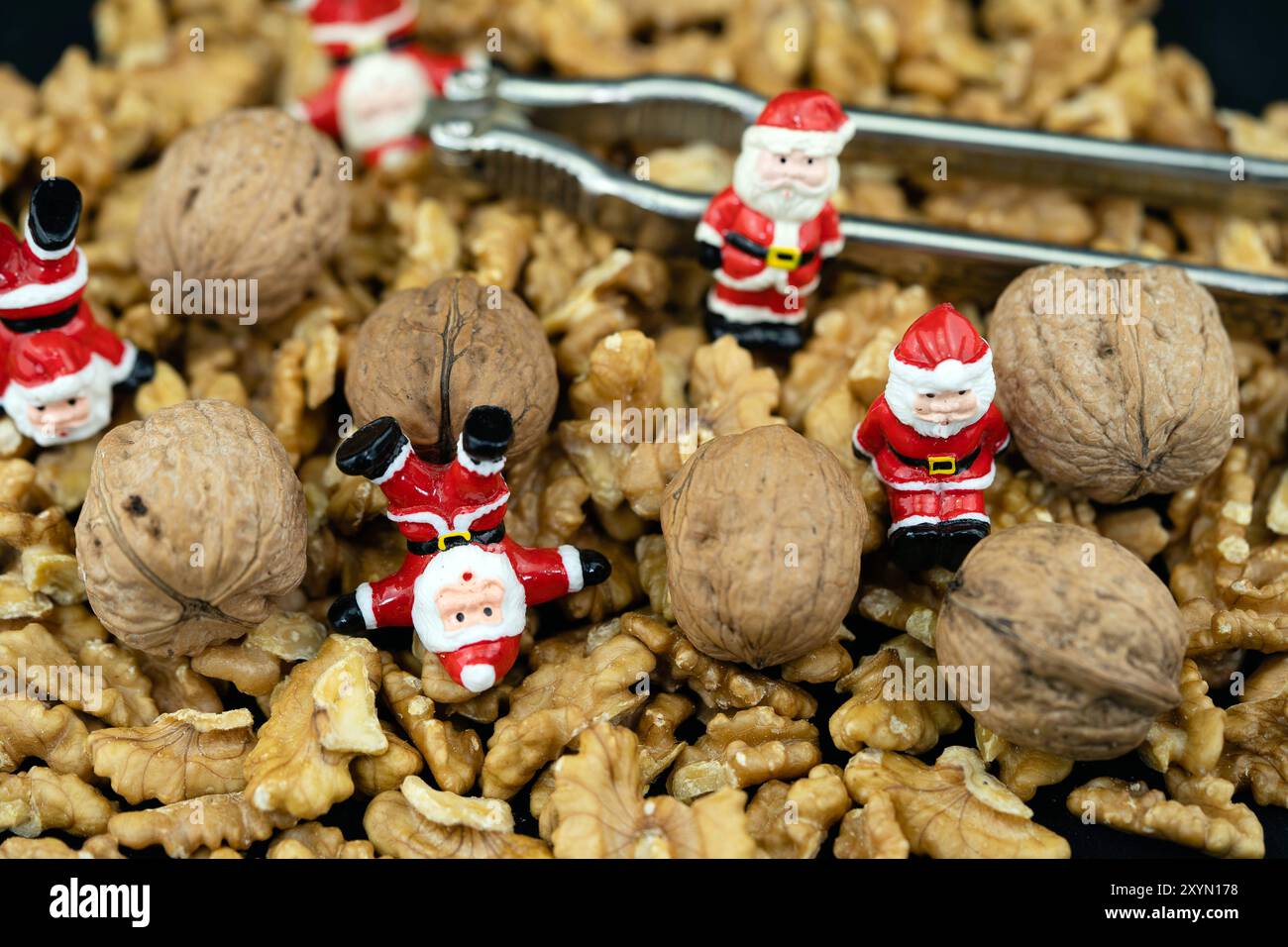 Walnuss (Juglans regia), zerbrochene Walnüsse und ganze Nüsse mit Nussknackern und kleinen Santas Stockfoto