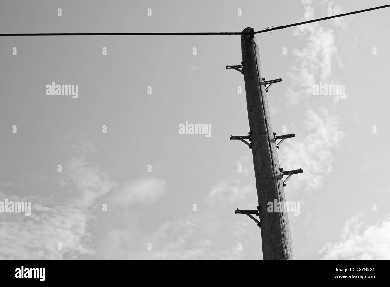 Telegrafenmast und Kabel (Schwarzweiß) Stockfoto