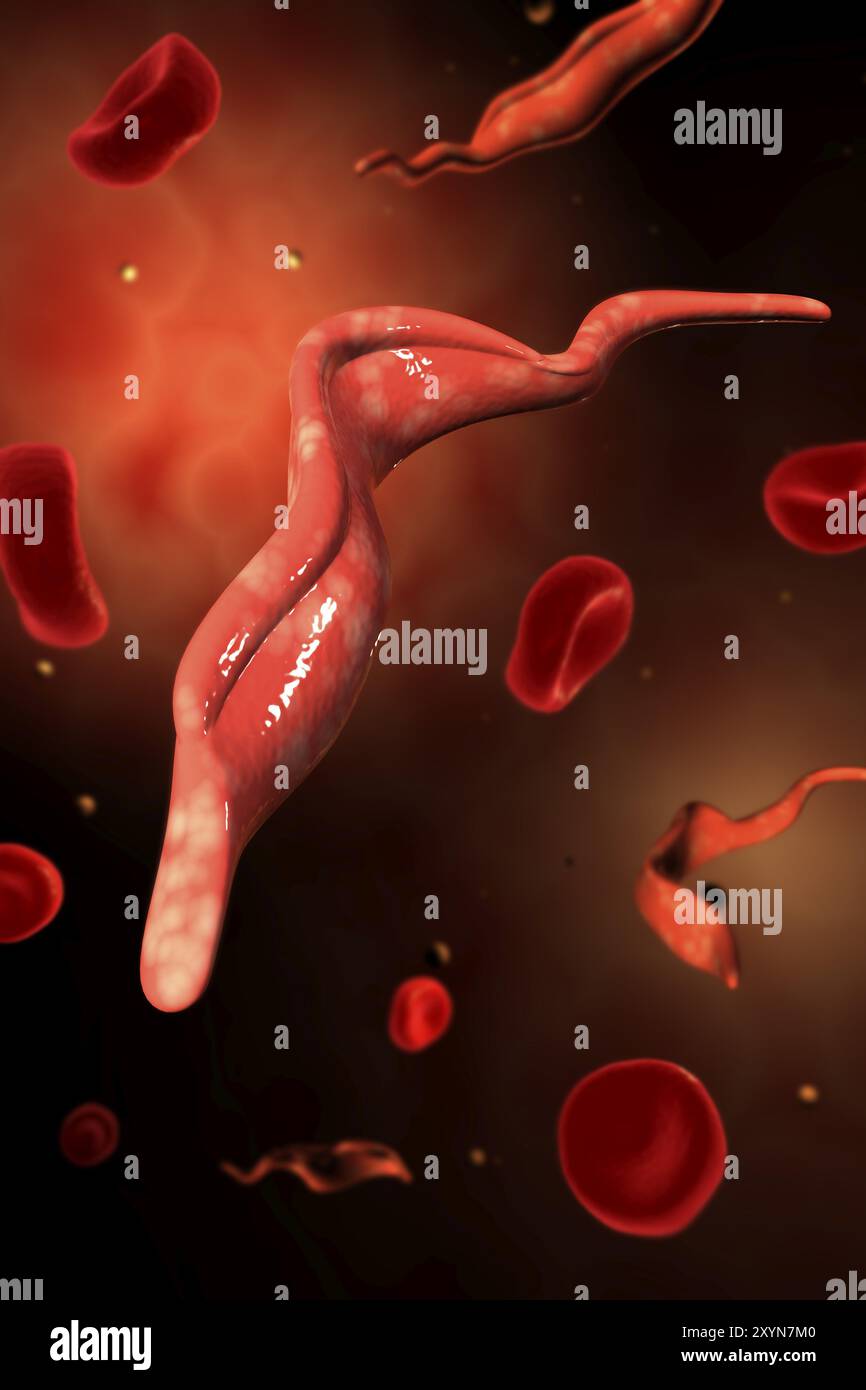Konzeptuelles Bild des Trypanosoms Stockfoto