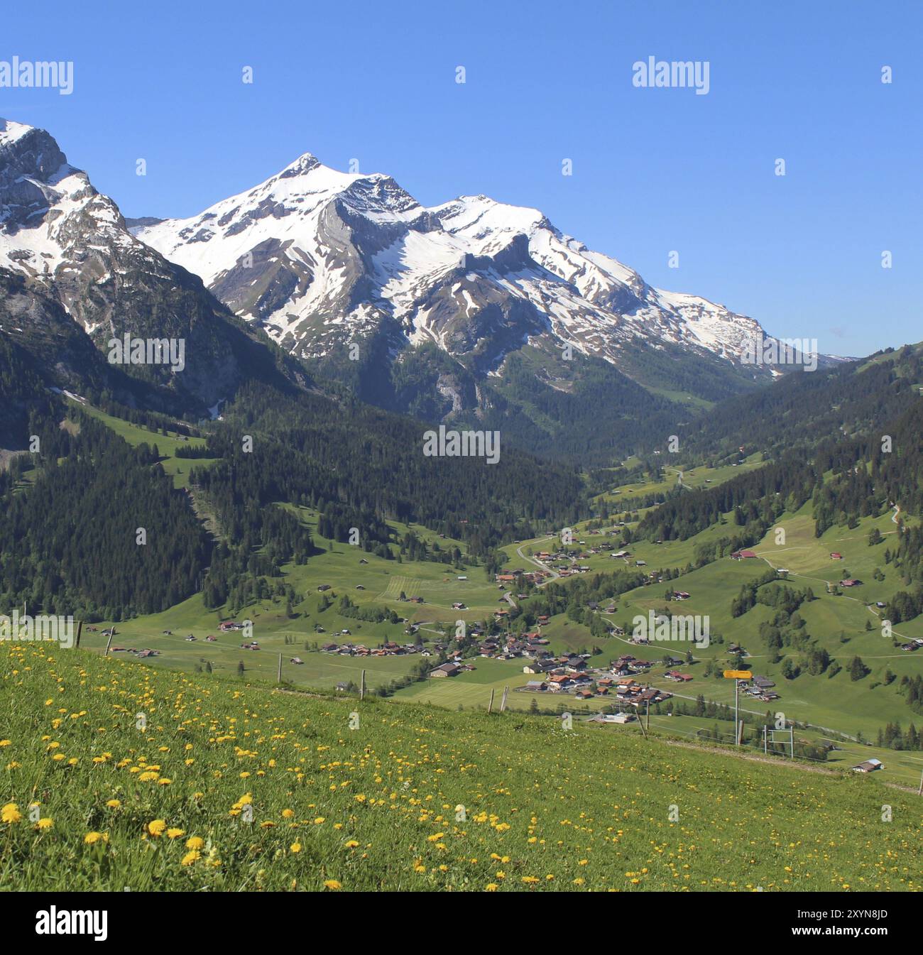 Frühling in den Schweizer Alpen Stockfoto